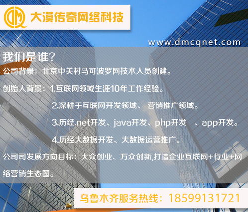 阿克苏与乌鲁木齐软件开发及运行维护服务 技术赋能新疆数字化发展